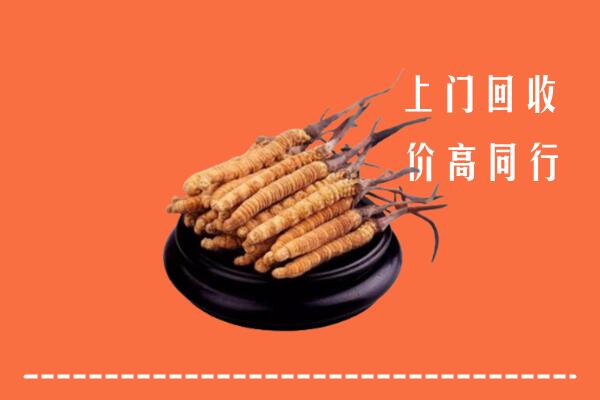 高价求购：凉山州西昌回收散虫草