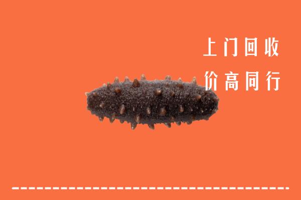 高价求购：凉山州西昌回收海参