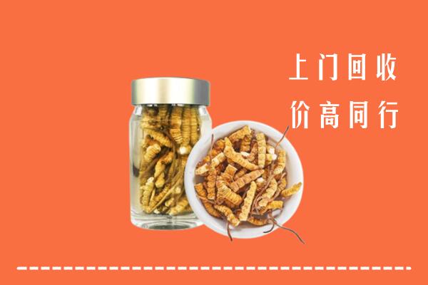 凉山州西昌高价回收冬虫夏草